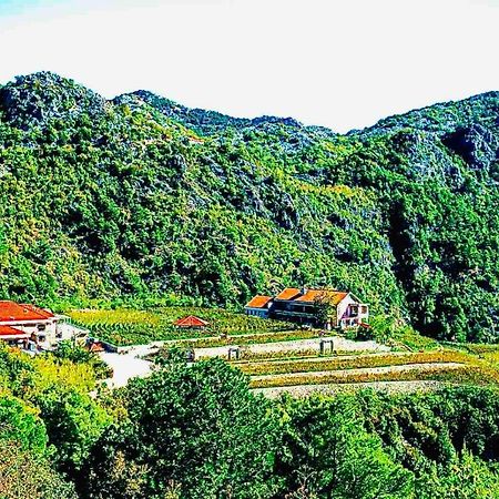Eco Winery Lipovac Apartments Цетине Экстерьер фото