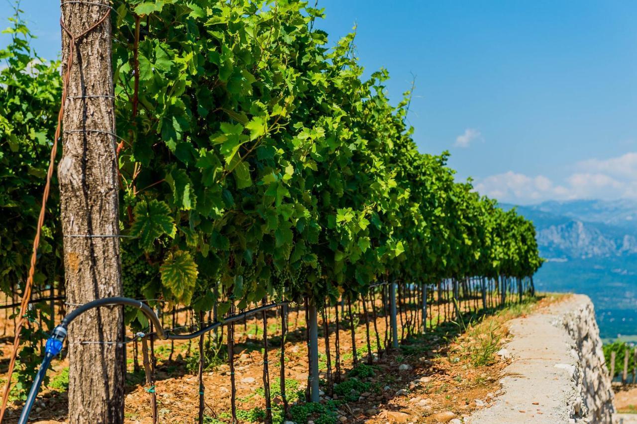 Eco Winery Lipovac Apartments Цетине Экстерьер фото