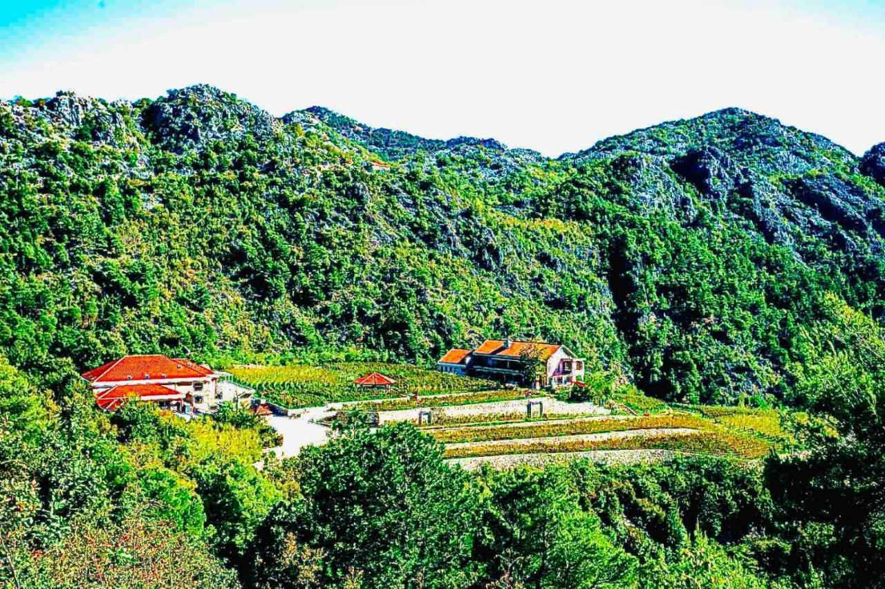 Eco Winery Lipovac Apartments Цетине Экстерьер фото